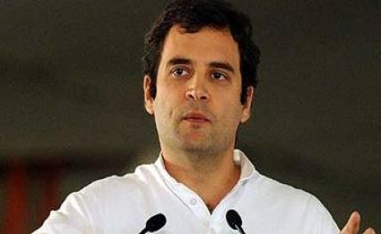 rahulgandhi large20131120123525_l